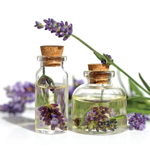 8640b6a250e760-zmakcujuci-krem-na-nohy-s-organickym-levandulovym-olejom-lavender-75ml-1 ok